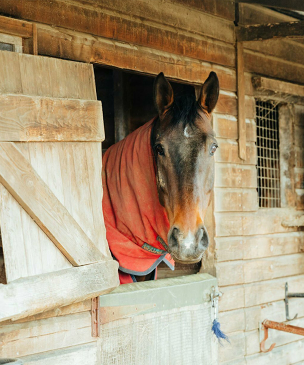 Book an appointment at The Old Stables